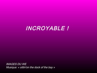 INCROYABLE !
IMAGES DU WE
Musique: « sittin'on the dock of the bay »
 