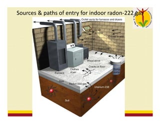 Sources & paths of entry for indoor radon-222 gas
 