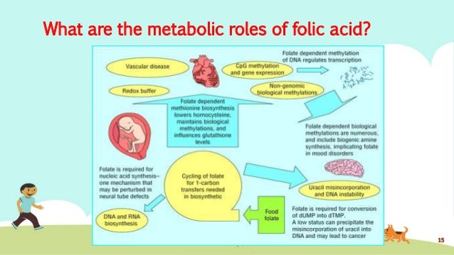 what is methylated folic acid what is methylated folic acid