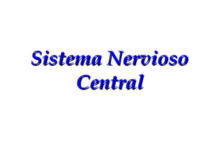Sistema Nervioso Central 
