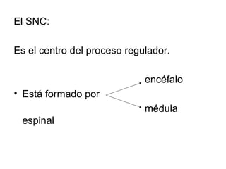 El SNC: Es el centro del proceso regulador. encéfalo Está formado por  médula espinal 
