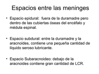 Espacios entre las meninges Espacio epidural:  fuera de la duramadre pero dentro de las cubiertas óseas del encéfalo y médula espinal.  Espacio subdural: entre la duramadre y la aracnoides, contiene una pequeña cantidad de líquido seroso lubricante. Espacio Subaracnoideo: debajo de la aracnoides contiene gran cantidad de LCR. 