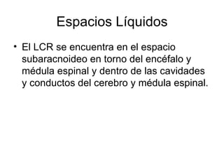 Espacios Líquidos El LCR se encuentra en el espacio subaracnoideo en torno del encéfalo y médula espinal y dentro de las cavidades y conductos del cerebro y médula espinal. 