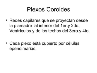Plexos Coroides Redes capilares que se proyectan desde la piamadre  al interior del 1er.y 2do. Ventrículos y de los techos del 3ero.y 4to. Cada plexo está cubierto por células ependimarias. 