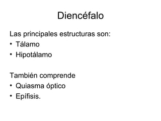 Diencéfalo Las principales estructuras son: Tálamo  Hipotálamo También comprende  Quiasma óptico  Epífisis. 