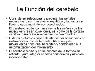 La Función del cerebelo Consiste en seleccionar y procesar las señales necesarias para mantener el equilibrio y la postura y llevar a cabo movimientos coordinados.  El cerebelo recibe continuamente las señales de los músculos y las articulaciones, así como de la corteza cerebral para realizar movimientos controlados.  Esta estructura es capaz de almacenar secuencias de instrucciones frecuentemente utilizadas y de movimientos finos que se repiten y contribuyen a la automatización del movimiento.  El cerebelo recibe y envía señales de la formación reticular, para integrar señales sensoriales y motoras inconscientes.  