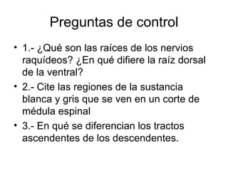 Preguntas de control 1.- ¿Qué son las raíces de los nervios raquídeos? ¿En qué difiere la raíz dorsal de la ventral? 2.- Cite las regiones de la sustancia blanca y gris que se ven en un corte de médula espinal 3.- En qué se diferencian los tractos ascendentes de los descendentes.   