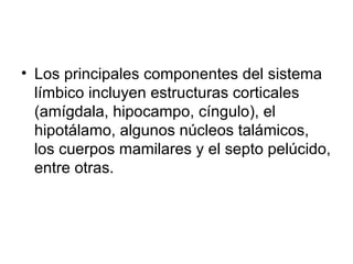 Los principales componentes del sistema límbico incluyen estructuras corticales (amígdala, hipocampo, cíngulo), el hipotálamo, algunos núcleos talámicos, los cuerpos mamilares y el septo pelúcido, entre otras.  