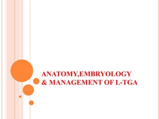 ANATOMY,EMBRYOLOGY
& MANAGEMENT OF L-TGA
 