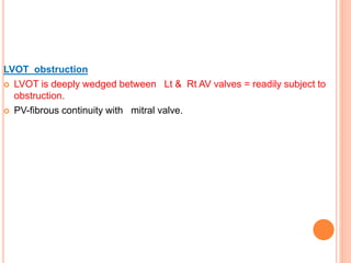 LVOT obstruction
 LVOT is deeply wedged between Lt & Rt AV valves = readily subject to
obstruction.
 PV-fibrous continuity with mitral valve.
 