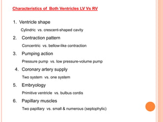 1. Ventricle shape
Cylindric vs. crescent-shaped cavity
2. Contraction pattern
Concentric vs. bellow-like contraction
3. Pumping action
Pressure pump vs. low pressure-volume pump
4. Coronary artery supply
Two system vs. one system
5. Embryology
Primitive ventricle vs. bulbus cordis
6. Papillary muscles
Two papillary vs. small & numerous (septophylic)
Characteristics of Both Ventricles LV Vs RV
 