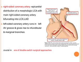  right-sided coronary artery -epicardial
distribution of a morphologic LCA with
main right-sided coronary artery
bifurcating into LCX,LAD
 left-sided coronary artery runs in left
AV groove & gives rise to infundibular
& marginal branches.
crucial in era of double-switch surgical approaches
 