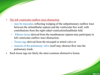 • The left ventricular outflow tract obstruction
– may be muscular, reflecting wedging of the subpulmonary outflow tract
between the infundibular septum and the ventricular free wall, with
contributions from the right-sided ventriculoinfundibular fold.
– Fibrous tissue derived from the membranous septum may participate in
left ventricular outflow tract obstruction.
– Tissue tags derived from the tricuspid or mitral valve or
– stenosis of the pulmonary valve itself may obstruct flow into the
pulmonary trunk.
• Such tissue tags are likely the most common obstructive lesion.
 