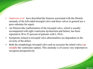 • Anderson et al. have described the features associated with the Ebstein
anomaly of the left-sided tricuspid valve and these valves in general are a
poor substrate for repair.
• An Ebstein-like malformation of the tricuspid valve, which is usually
accompanied with right ventricular dysfunction and failure, has been
reported in 20 to 53 percent of patients with L-TGA .
• Symptoms related to tricuspid valve abnormalities are dependent on the
severity of the defect.
• Both the morphologic tricuspid valve and on occasion the mitral valve can
straddle the ventricular septum. This anomaly is of course very important to
recognize preoperatively
 