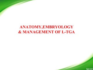 ANATOMY,EMBRYOLOGY
& MANAGEMENT OF L-TGA
 