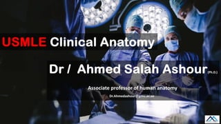 Dr / Ahmed Salah Ashour(Ph.D.)
Associate professor of human anatomy
Dr.Ahmedashour@gmu.ac.ae
USMLE Clinical Anatomy
 