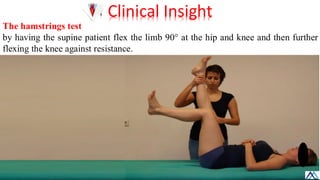 Hamstring Muscle Weakness Testing L004 Lower Limb Muscles of thigh / Lower Limb Muscles of thigh.pdf