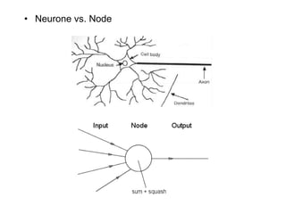 Neurone vs. Node 