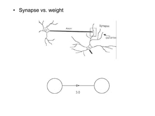 Synapse vs. weight 