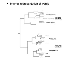 Internal representation of words 