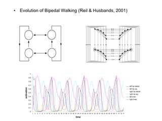 Evolution of Bipedal Walking (Reil & Husbands, 2001) 