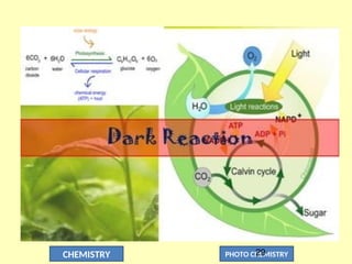 CHEMISTRY PHOTO CHEMISTRY
29
 