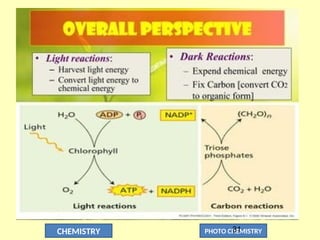 CHEMISTRY PHOTO CHEMISTRY
31
 