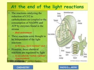 CHEMISTRY PHOTO CHEMISTRY
33
 