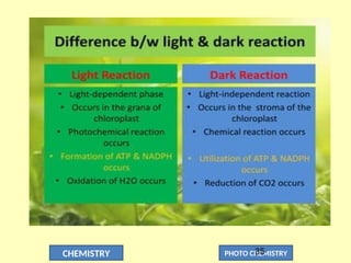 CHEMISTRY PHOTO CHEMISTRY
35
 