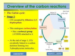 CHEMISTRY PHOTO CHEMISTRY
37
 