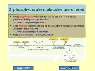 CHEMISTRY PHOTO CHEMISTRY
40
 