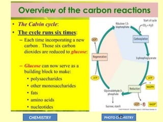 CHEMISTRY PHOTO CHEMISTRY
43
 
