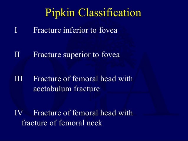 L01 hip dislocation, pipkin