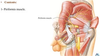 Peripheric Rim Location L011 Lower Limb Anatomical regions / Lower Limb Anatomical regions.pdf