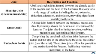 Shoulder Joint Function L017 Upper Limb Joints / Upper Limb Joints / Upper Limb Joints.pdf
