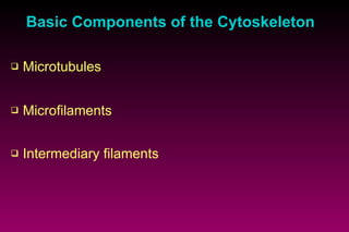 Basic Components of  the  Cytoskeleton Microtubules Microfilaments Intermediary filaments 