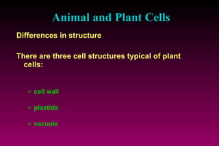 Animal and  P lant  C ells Differences in structure There are three cell structures typical of plant cells: cell wall plastids vacuole 