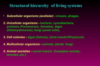 Structural hierarchy  of living systems Subcellular organisms (acellular)  -  viruses, phages. 2. Unicellular organisms  -  bacteria, cyanobacteria,  protozoa (Paramecium, Amoeba), algae  (Chlamydomonas), fungi (yeast cells). 3. Cell colonies  -  algae (Volvox), slime mould (Physarum). 4. Multicellular organisms  -  animals, plants, fungi. 5. Animal societies -   social insects  (honeybee society,  termites, etc.) 