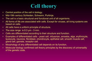 Cell theory Central position of the cell in biology . Mid-19th century Schleiden, Schwann, Purkinje . The cell is a basic structural and functional unit of all organisms. All forms of life are associated with cells. Except for viruses, all living systems are  based on cells. All cells have a uniform principle of structure. The size range  is 0.3  μ m - 3 mm. Cells are differentiated according to their structure and function. Examples of differentiated cells - yeast cell, infusorian, amoeba, alga, erythrocyte, leukocyte, neurone, fibroblast, chondrocyte, epithelial cell, smooth muscle cell, gland cell, gamete, receptor cell. Morphology of any differentiated cell depends on its function. Molecular biology confirmed cell theory principles by the discovery of universality of the genetic code. 