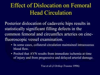 Effect of Dislocation on Femoral
Head Circulation
Posterior dislocation of cadaveric hips results in
statistically significant filling defects in the
common femoral and circumflex arteries on cine-
fluoroscopic vessel examination.
• In some cases, collateral circulation maintained intraosseous
blood flow.
• Posited that AVN results from immediate ischemia at time
of injury and from progressive and delayed arterial damage.
Yue et al (J Orthop Trauma 1996)
 