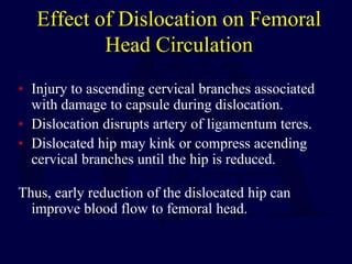 Effect of Dislocation on Femoral
Head Circulation
• Injury to ascending cervical branches associated
with damage to capsule during dislocation.
• Dislocation disrupts artery of ligamentum teres.
• Dislocated hip may kink or compress acending
cervical branches until the hip is reduced.
Thus, early reduction of the dislocated hip can
improve blood flow to femoral head.
 