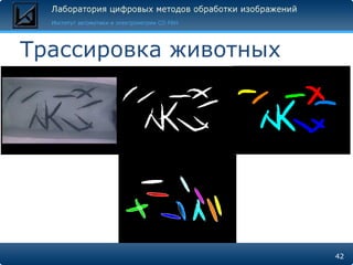 Трассировка животных 