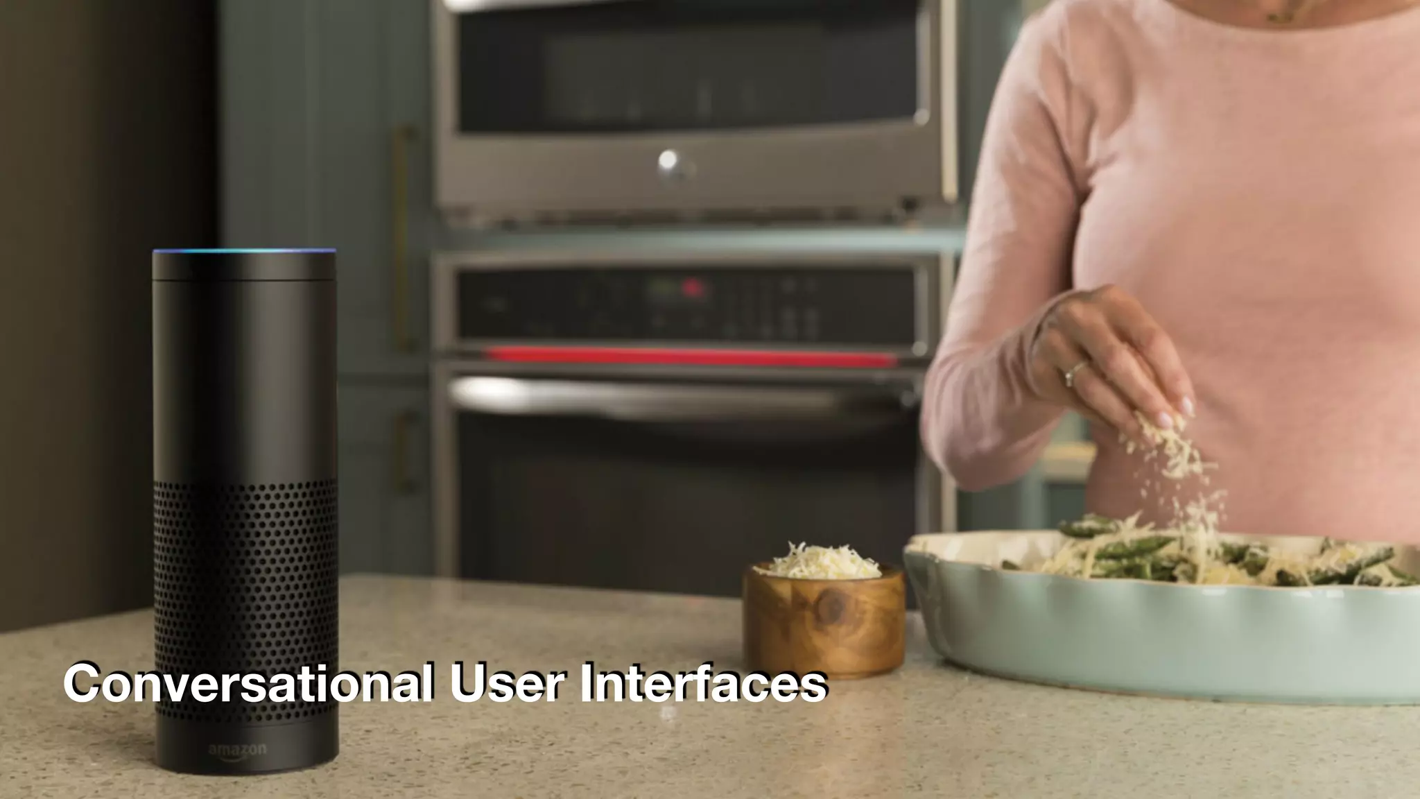 Conversational User Interfaces
 