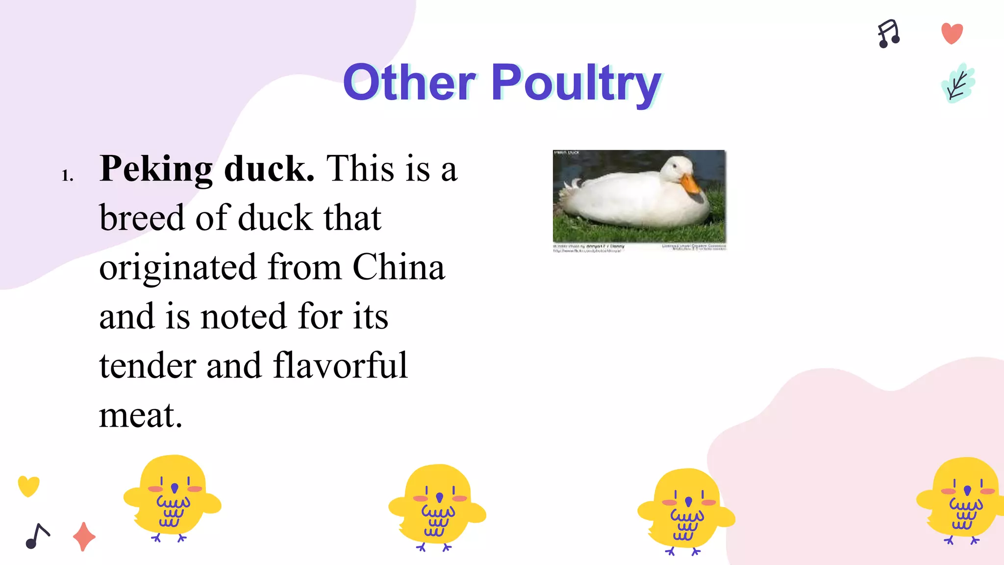 L01 POULTRY.pptx
