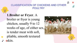 CLASSIFICATION OF CHICKENS AND OTHER
POULTRY
1.Broiler or Fryer. A
broiler or fryer is young
chicken, usually 9 to 12
weeks of age, of either sex,
is tender meat with soft,
pliable, smooth textured
skin.
 