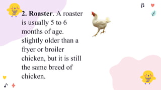 2. Roaster. A roaster
is usually 5 to 6
months of age.
slightly older than a
fryer or broiler
chicken, but it is still
the same breed of
chicken.
 
