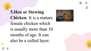 5.Hen or Stewing
Chicken. It is a mature
female chicken which
is usually more than 10
months of age. It can
also be a culled layer.
 