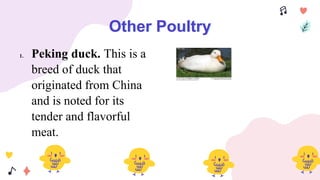Other Poultry
1. Peking duck. This is a
breed of duck that
originated from China
and is noted for its
tender and flavorful
meat.
 