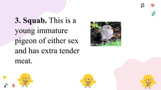 3. Squab. This is a
young immature
pigeon of either sex
and has extra tender
meat.
 