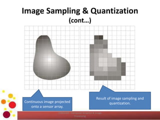 Image Sampling & Quantization
(cont…)
COM2304 - Computer Graphics & Image
Processing
Continuous image projected
onto a sensor array.
Result of image sampling and
quantization.
 